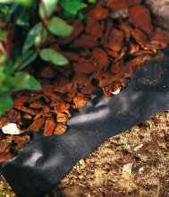 Barkduk 1 x 5 m 5 m² Weibulls